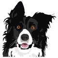 Signmission Border Collie Dog Decal, Dog Lover Decor Vinyl Sticker D-12-Border Collie